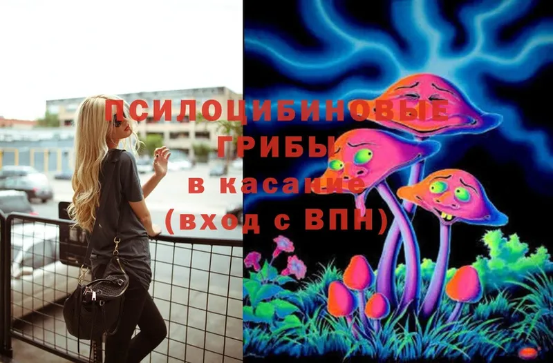 даркнет какой сайт  Руза  Псилоцибиновые грибы Psilocybine cubensis  купить закладку 